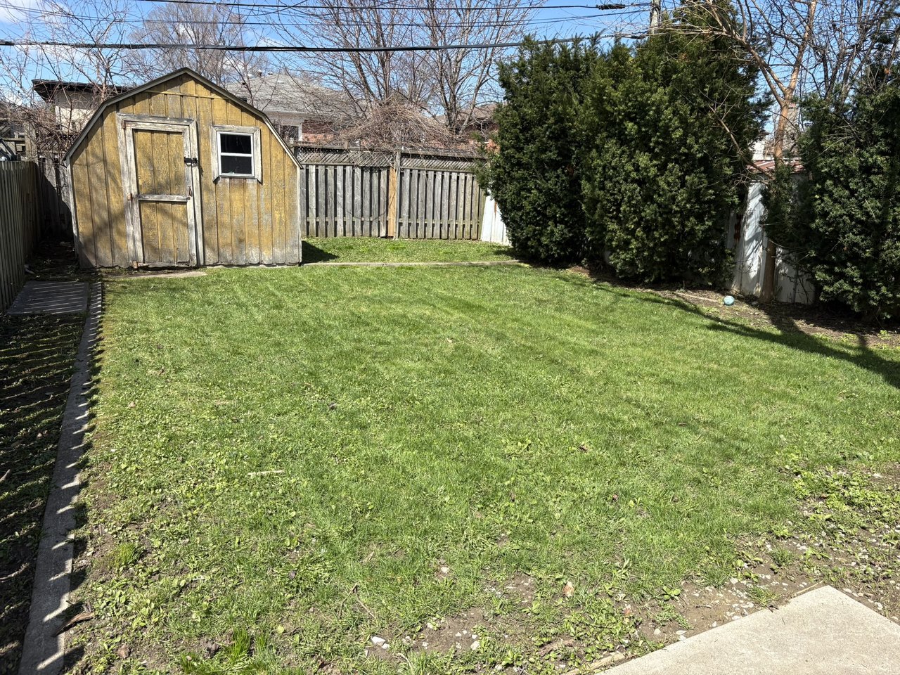 Residential lawn after mowing and cleanup