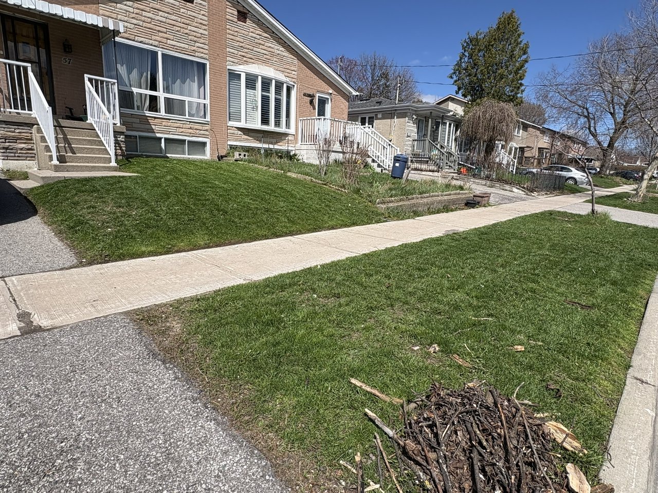 Yard and lawn maintenance project