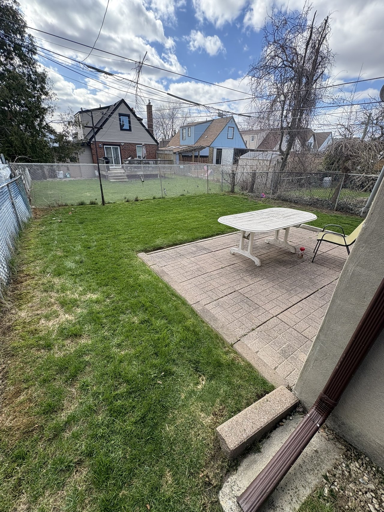 Fresh cut grass and edging