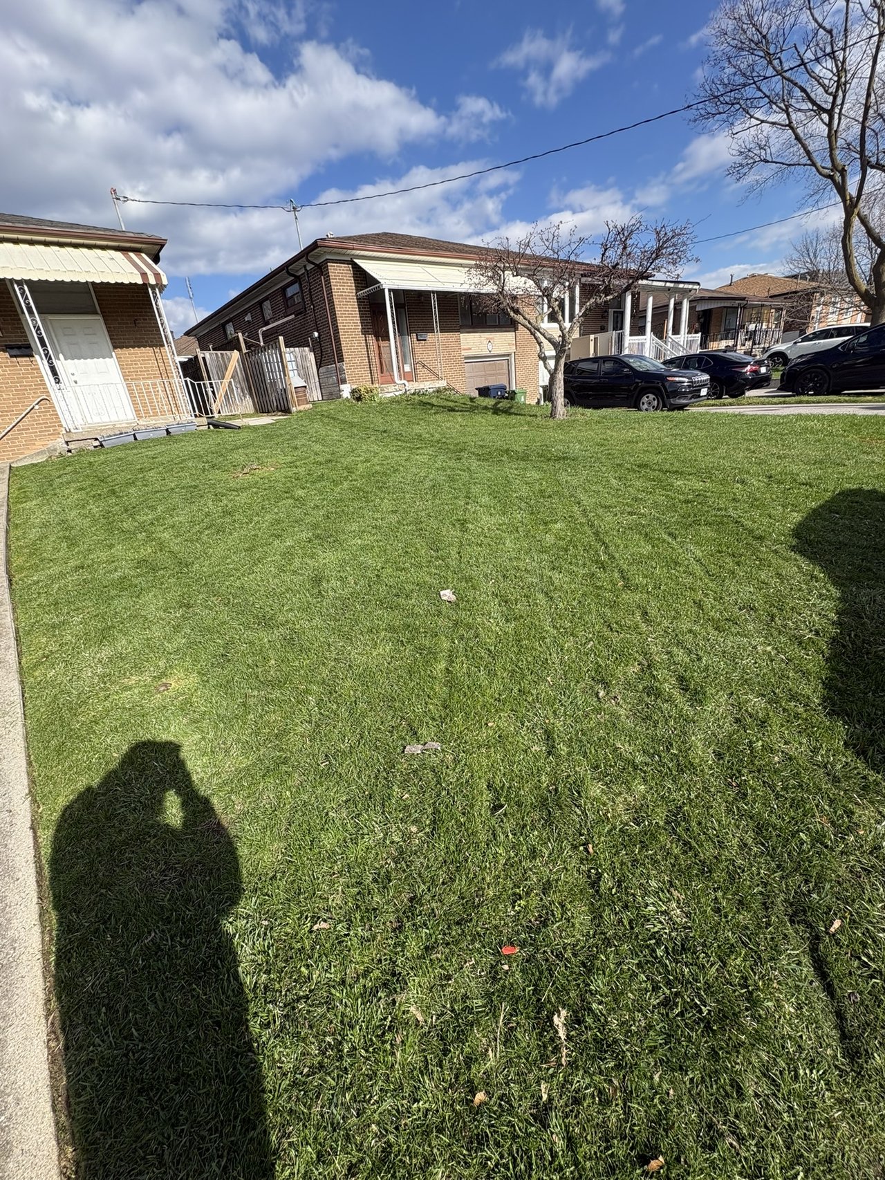 Front yard mowing result