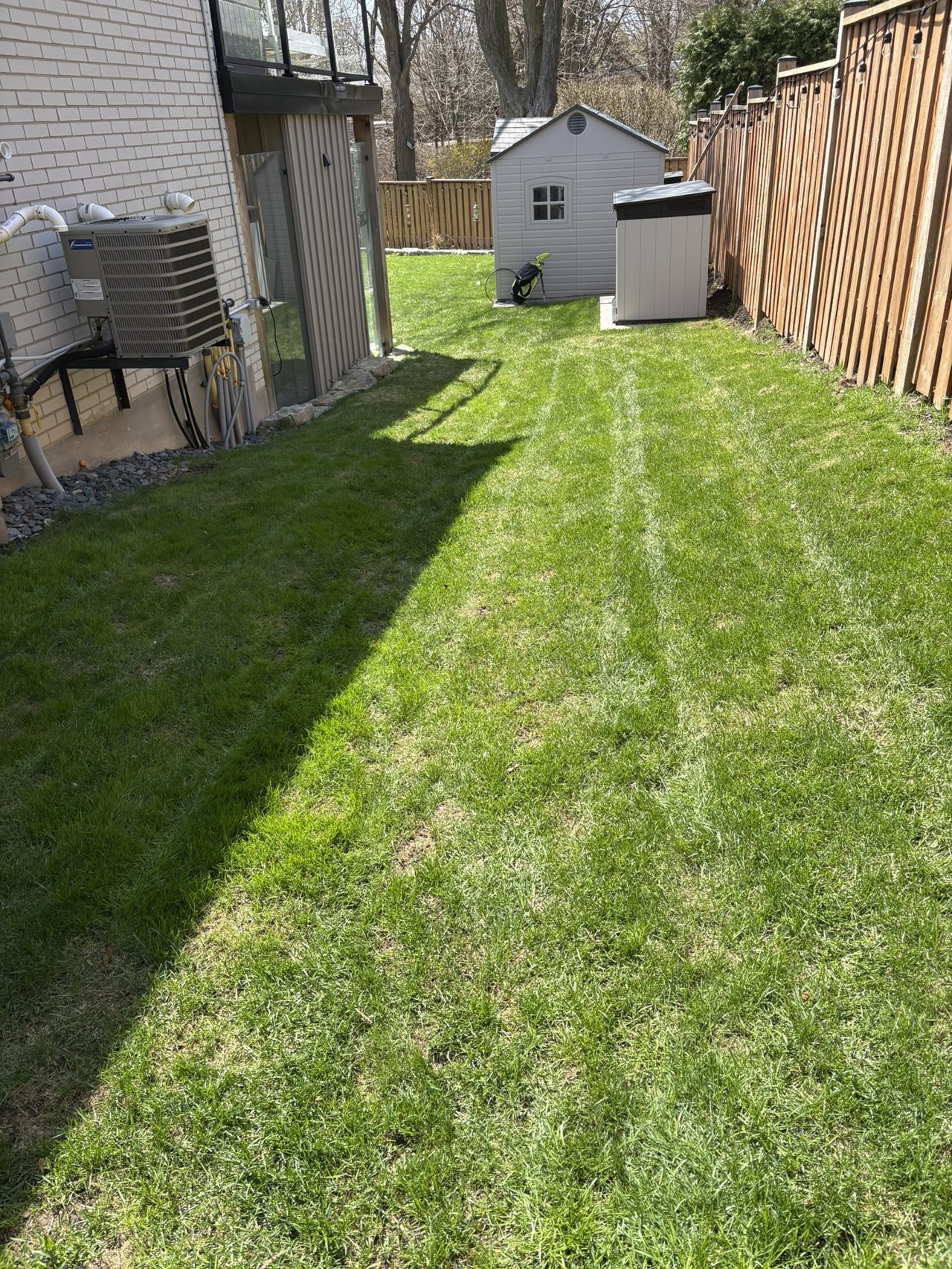 Landscape and grass care