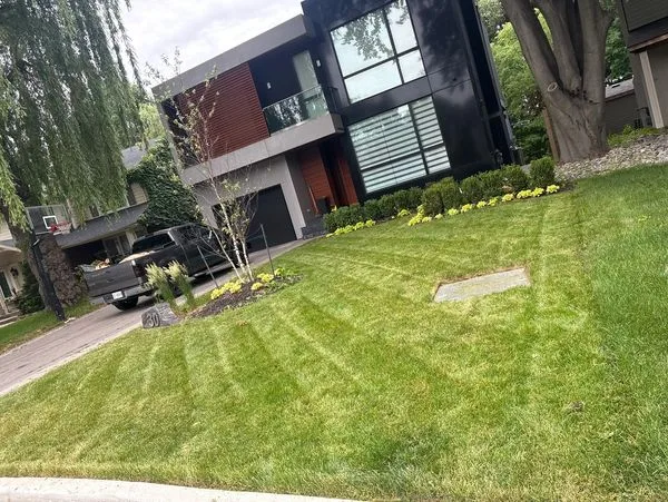 Mowed lawn with landscaping