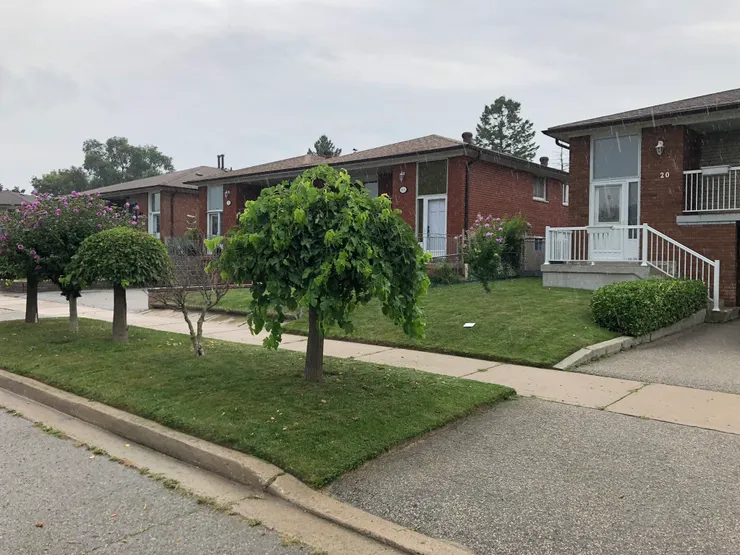 Backyard lawn care results
