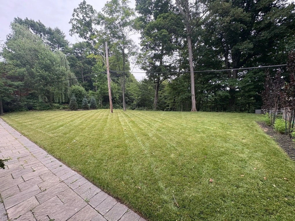 Freshly cut front yard lawn