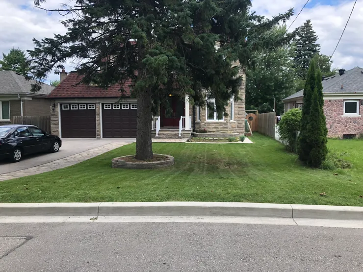 Tree-lined yard after mowing