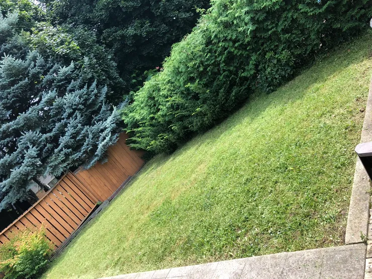 Freshly maintained front lawn and driveway