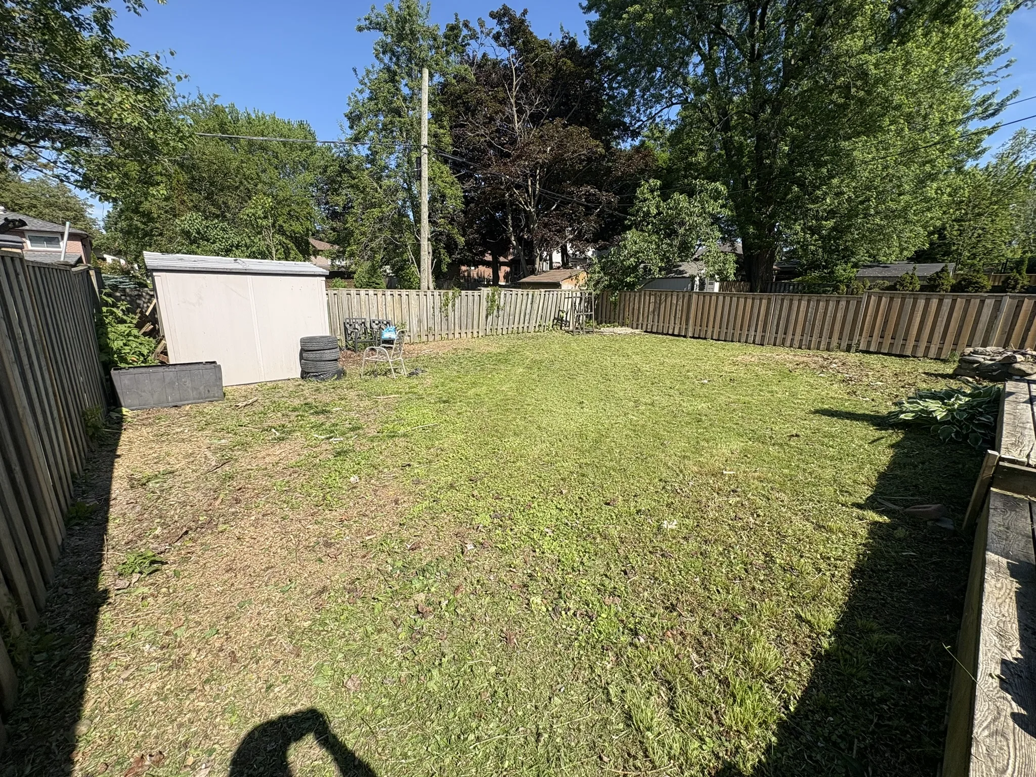 Freshly mowed lawn with clean lines