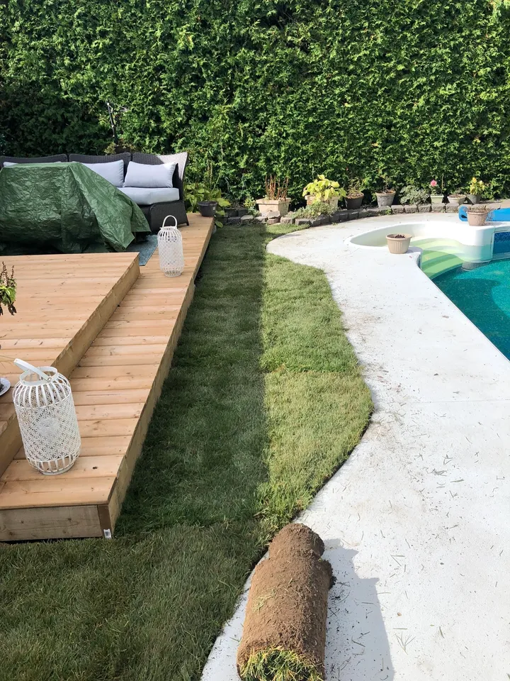 Yard after sod installation