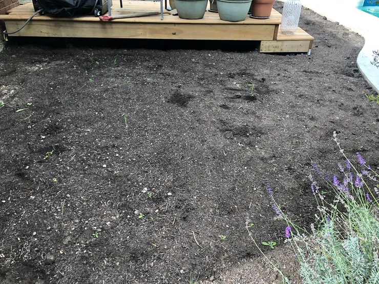 Completed sod installation